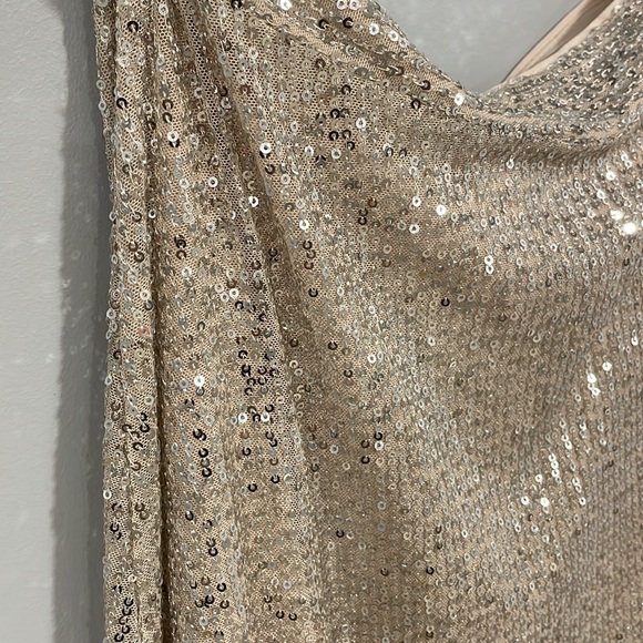 DEX champagne sequin skirt - Picture 6 of 9